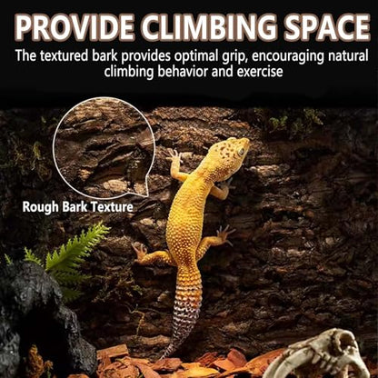 1PCS Thickened Cork Terrarium Bark Background, 11.8"x7.8" Natural Cork Bark for Reptiles Bearded Dragon Climbing Mat Reptile Climbing Wall Terrarium Background Decor for Lizard Gecko Snake