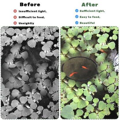 10 Pcs Fish Feeding Rings Set, Floating Plant Ring Aquarium Plant Corral Round Square Fishes Feeder Rings Aquariums Floating Plants Barrier Fishes Tanks Aquarium Floating Ring for Fish Tank Aquariums