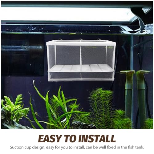 BESPORTBLE Fish Fry Hatching Boxes Aquarium Breeding Box Suction Cup Design Style