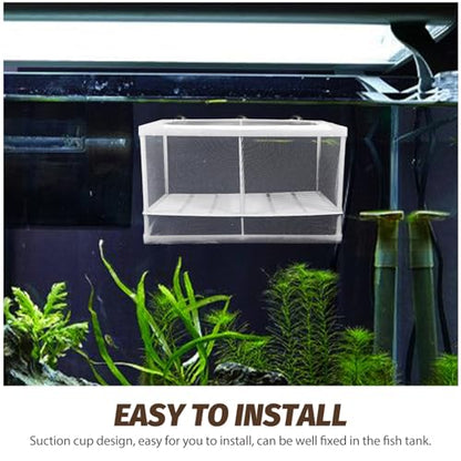 BESPORTBLE Fish Fry Hatching Boxes Aquarium Breeding Box Suction Cup Design Style