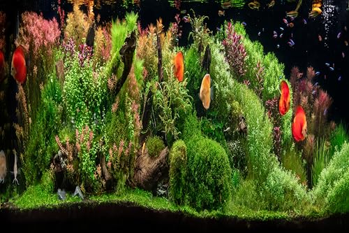 15x8ft Fish Tank Backdrop Aquarium Underwater Grass Leaves Aquatic Plant River Stone Bed Lake Fish Background Diving Holiday Fishing Party Decoration Photo Props Wallpaper