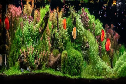 15x8ft Fish Tank Backdrop Aquarium Underwater Grass Leaves Aquatic Plant River Stone Bed Lake Fish Background Diving Holiday Fishing Party Decoration Photo Props Wallpaper