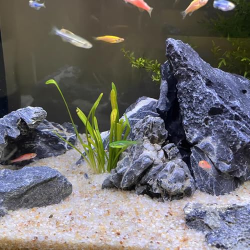 5 lbs Aquarium Silica Sand. 0.4-0.8 mm Mini Gravel Substrate for Fish Tank, Plants Potted, Fire Pits, Candle, Vase Filler and Crafts - color: Beige, size: 5 LB