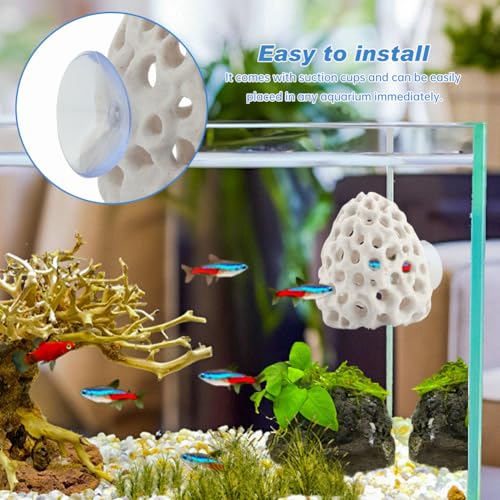 Shrimp Dome Hide Shrimp Hides for Aquarium Bettas Fish Hideout with Suction Cup Aquarium Fish Cave Hideout Bettas Habitat Fishs Tank Tunnel(Color:White)