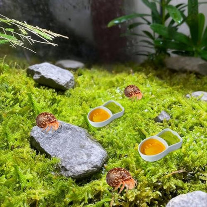2 Pack Hermit Crab Food Dish Ceramic Hermit Crab Water Bowl Reptile Water Bowl Aquarium Accessory for Bearded Dragon Lizard Frog Gecko Tortoise Snail Frog
