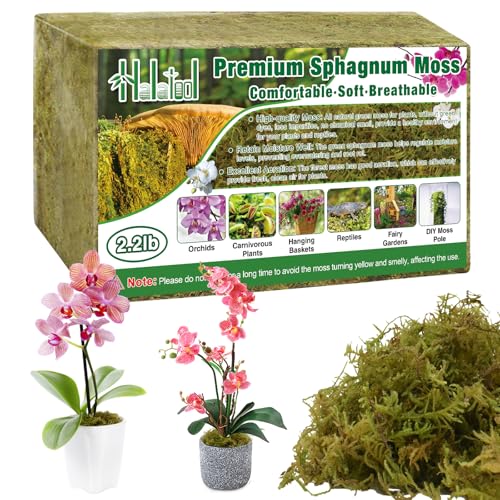2.2LB Premium Sphagnum Moss for Plants, 50QT Green Moss for Plants Indoor Potted Orchid Moss for Repotting Succulent Carnivorous Terrarium Gardening Reptiles