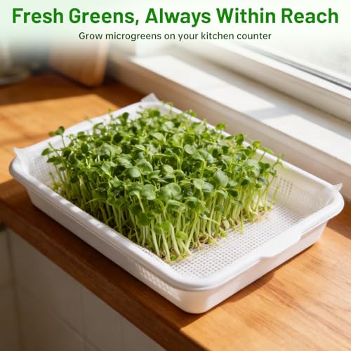 Acrylic Microgreens Growing Trays 3-Pack – Clear Hydroponic Seed Starter Kit with Silicone Mats & Spray Bottle – Reusable Plant Germination Trays for Vegetables, Wheatgrass, Cat Grass – Indoor Garden
