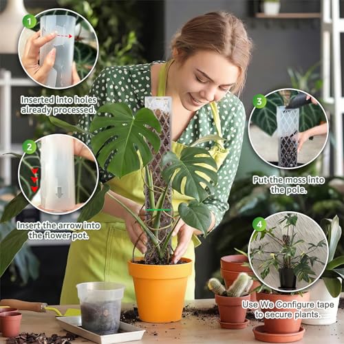 6 Pcs Monstera Moss Pole,Plastic Moss Poles for Climbing Plants Work with Sphagnum Moss,6×16'' Plant Support for Indoor Plants,Garden Ties