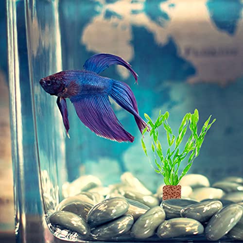 iplusmile Water Plant Fixed Rings 10 Pack Durable Aquarium Plant Holders Anchors for Fish Tank Aquatic Decoration 0.78In
