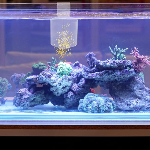 Fish Feeding Ring Acrylic Aquarium Feeder with Hook Anti-Scatter Fish Food Container Feeding Supply