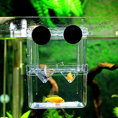 Aquarium Fish Tank Breeding Breeder Rearing Box Hatchery Clear Isolation Case (BX-003) - size: BX-003
