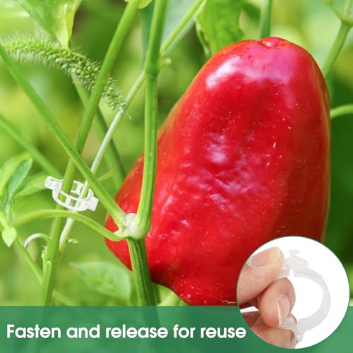 150 Pcs Plant Clips for Climbing Plants, Tomato Clips for Support, Plastic Garden Clips for Plants Grape Vine Vegetables Make Plant Grow Upright