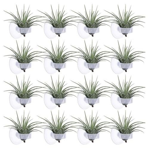 20PCS Air Plant Wall Mounts Secure Suction Base for Home Decoration Living Areas Home Greeneries and Aquarium Equipment Stand Holder Wall Mount Holder
