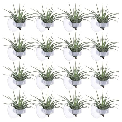 20PCS Air Plant Wall Mounts Secure Suction Base for Home Decoration Living Areas Home Greeneries and Aquarium Equipment Stand Holder Wall Mount Holder