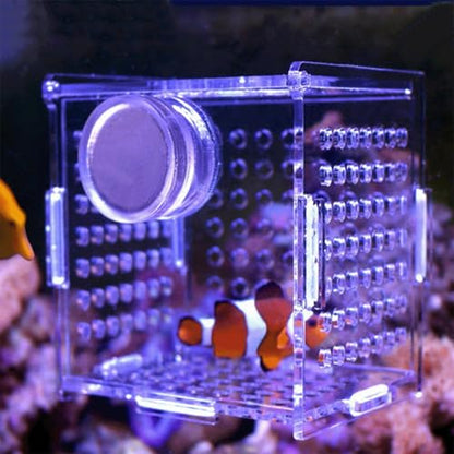 Acrylic Fish Breeding Box, Magnetic Fish Isolation Box Fish Separator for Aquarium Hatchery Incubator Tank for Baby Fishes Shrimp Clownfish Guppy (Medium, Reinforced Magnetic Model)