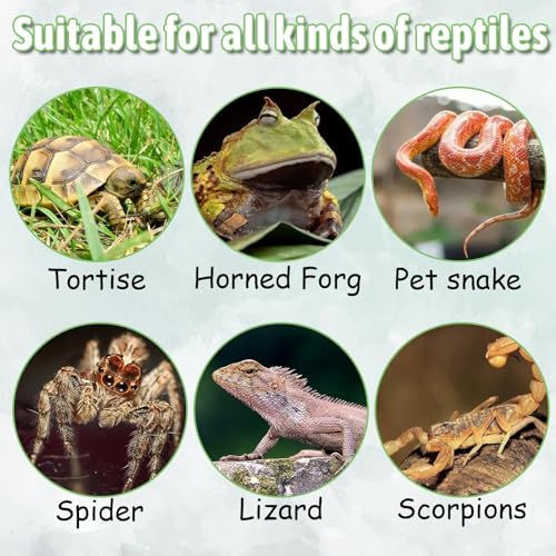 Reptile Water Dish, Snake Water Bowl, Resin Turtle Basking Platform with Artificial Plants, Crested Gecko Tank Accessories for Bearded Dragon, Hermit Crab, Snake (Smooth)