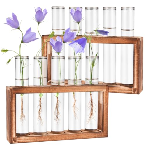 2pcs Desktop Glass Plant Propagation Station with 10 Test Tubes in Wooden Stand - Hydroponic Plants Cutting Office Home Decoration and Garden Decor Terrarium (10 Tubes)