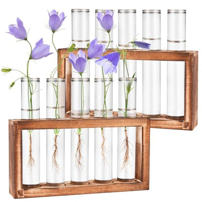 2pcs Desktop Glass Plant Propagation Station with 10 Test Tubes in Wooden Stand - Hydroponic Plants Cutting Office Home Decoration and Garden Decor Terrarium (10 Tubes)