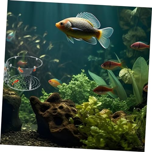 POPETPOP Fish Breeding Box for Aquarium Lightweight Separator for Fish Tank for Shrimp Survival Rate Easy to Carry and Store