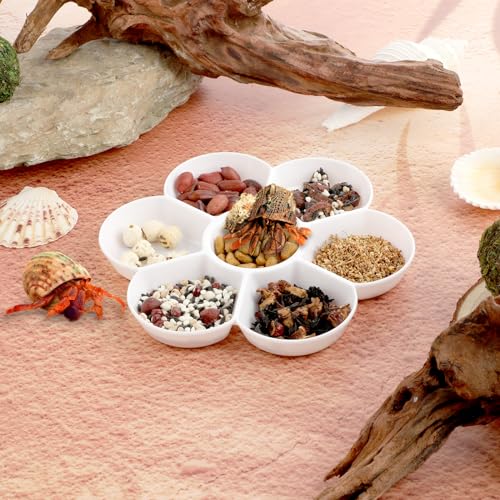 2 Pcs Hermit Crab Ceramic Food Dish, Small Hermit Crab Water Dish Hermit Crab Kit Mini Food Dish Kit for Hermit Crab Tarantula and Snail (White)