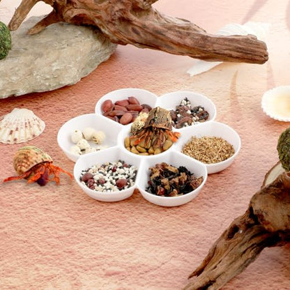 2 Pcs Hermit Crab Ceramic Food Dish, Small Hermit Crab Water Dish Hermit Crab Kit Mini Food Dish Kit for Hermit Crab Tarantula and Snail (White)