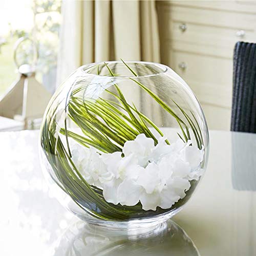 WGV Bowl Glass Vase, Diameter 6", Height 5", Open Width 4", (Multiple Sizes Choices) Clear Bubble Planter Terrarium Fish Bowl for Wedding Event Home Decor, 1 Piece (VBW0006) - size: 6"Dx5"H 1 Piece