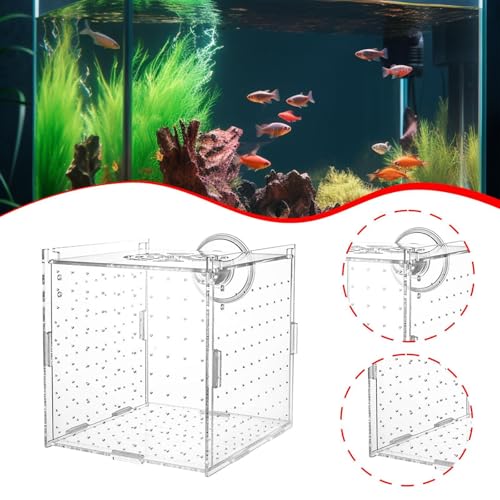 Aquarium Breeding Box Acclimation Hatchery Hatching Spawning Room Box Separator for ES Turtle, Single Room
