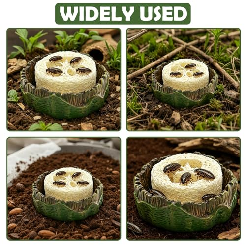Cockroach Water Basin & 3 Loofah Set, Dubia Roaches Live Habitat Reptile Container Supplies for Terrariums & Enclosures, Comfortable Habitat for Roaches Live, Isopods, Springtails, Crickets
