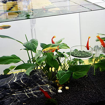 Aquarium Shrimp Feeder Dish Round Fish Tank Feeder Bowls Clear Aquarium Feeding Cup with Suction Cup - color: Clear-Round