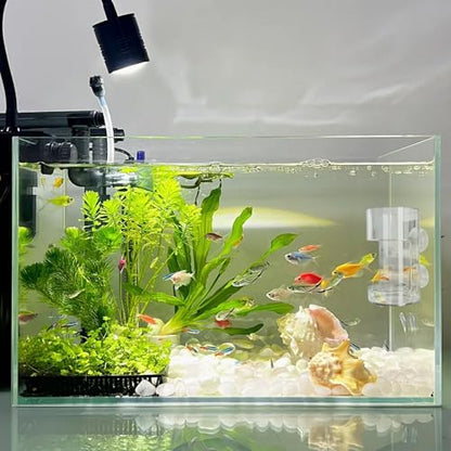 No Mess Aquarium Feeder, Acrylic Clear Fish Tank Feeder with Suction Cup, Preventing Food Scattering Feeding Tray Hollow Floating Sinking Shrimp Food Holders (Square,1) - color: Square