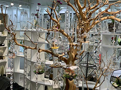 WGV Hanging Terrarium Globe, Width 7", Height 8", DIY Air Succulent Planter, Clear Glass Vase Orb with Flat Bottom, Candle Holder Outdoor Garden Decor, 6 Pieces - size: 7" Flat Bottom