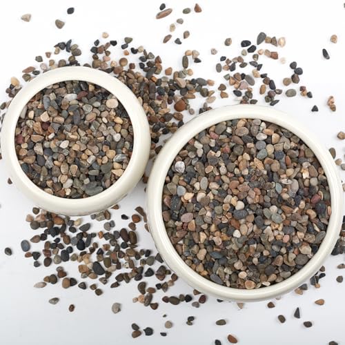40LB Natural River Rocks, 1/4" Aquarium Gravel, Small Pebbles for Plants, Pea Gravel for Fish Tanks, Decorative Rocks for Gardening, Flower Pots, Vase Fillers, Indoor Fountains (40 LBS)