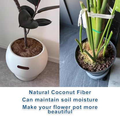Long Coconut Husk Fiber Mulch Silk for Orchids Clean Coconut Shell Moss Covering 0.66 Pounds