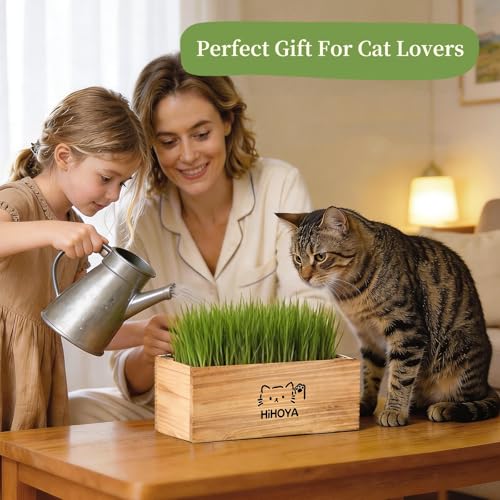 Cat Grass Kit for Indoor Cats - 5 Harvests Cat grass Growing Kit with Wooden Planter, 5 Seed Packets, 6 Soil Disks, Spray Bottle, Tools & Scissors - Natural Hairball Control for Nipping & Nibbling