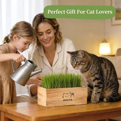 Cat Grass Kit for Indoor Cats - 5 Harvests Cat grass Growing Kit with Wooden Planter, 5 Seed Packets, 6 Soil Disks, Spray Bottle, Tools & Scissors - Natural Hairball Control for Nipping & Nibbling