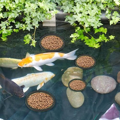 Aquarium Feeding Ring Set, 5 Sizes, EVA Foam, Prevents Food, Promotes Water Circulation, Ideal for Fish, Turtles, Plants (10pcs Black)