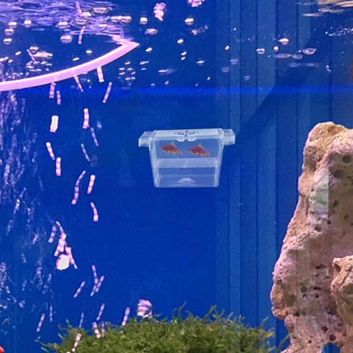 Fish Breeding Box with Divider and Suction Cups Double-Layer Plastic Incubator Tank for Aquarium Betta Fish Nursery and Hatchery Acclimation and Isolation