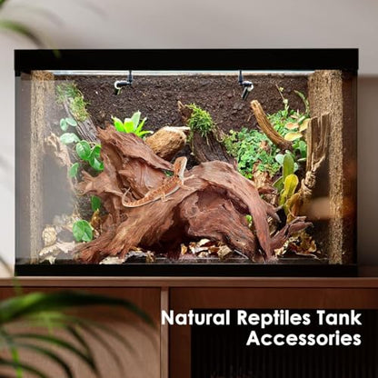 Natural Small Aquarium Driftwood for Fish Tanks & Reptile Terrariums – Safe Fish Tank Decorations, Unique Twisted Branches 10-Piece 2-4 Inch Low Tannin, Easy to Sink - size: Mopani Driftwood 2-4" (Pack of 10)