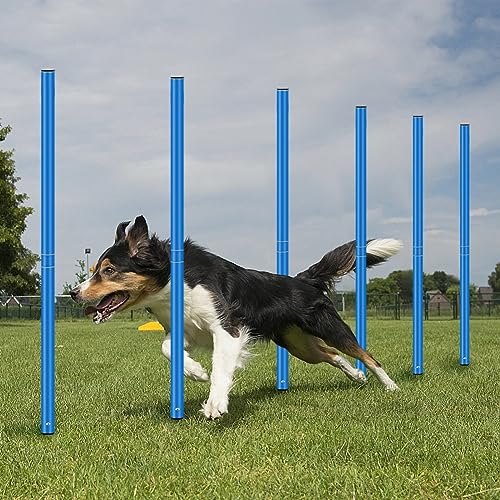 HOTOOLME Agility Training Poles Equipment Soccer Training Equipment Includes 6 Agility Poles,Agility Ladder, 10 Soccer Cones,Jump Rope for Speed Training, Soccer Training, Basketball Athletes & Kids - color: Blue