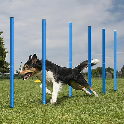 HOTOOLME Agility Training Poles Equipment Soccer Training Equipment Includes 6 Agility Poles,Agility Ladder, 10 Soccer Cones,Jump Rope for Speed Training, Soccer Training, Basketball Athletes & Kids - color: Blue