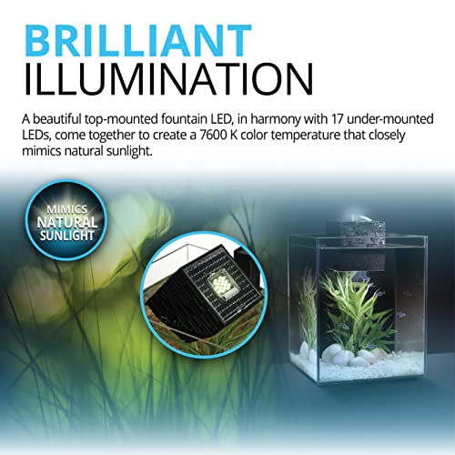 Fluval Chi II Series Aquarium Set, 5-Gallon - Aquarium Tank with Ambient LED Lighting, Flowing Water, and Elegant Design, White