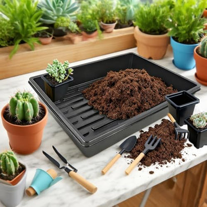2 Inch Square Nursery Pots, 50 Pack (25 Clear + 25 Black) Seedling Starter Pots, Plastic Plant Pots with Drainage Holes, for Seed Germination, Root View, and Light Blocking - color: Clear + Black (50pcs)