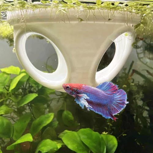Floating Betta Hide Out, Betta Enrichment Toy. Feeding Ring for Fish & Shrimp, Safe Plastic Aquarium Ornament. (White)
