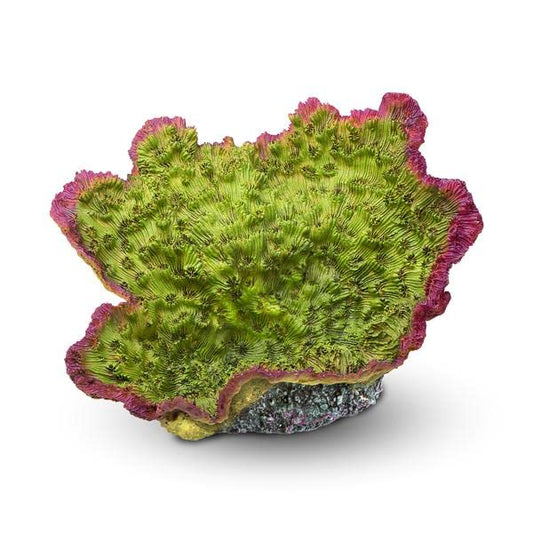 Aquatop Aquatic Supplies CD-04GRM Coral Decor, Green/Purple - color: Green/Purple