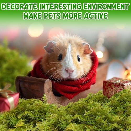 12QT Small Animals Bedding & Nesting Material, Forest Moss for Odor Control Rabbits Squirrels Hamsters Guinea Pigs, Soft & Safe for Small Animals Cages Terrariums Reptiles Plants