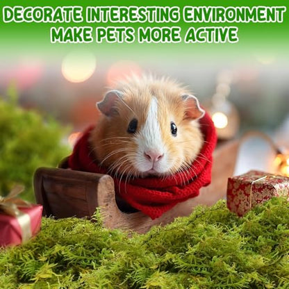 12QT Small Animals Bedding & Nesting Material, Forest Moss for Odor Control Rabbits Squirrels Hamsters Guinea Pigs, Soft & Safe for Small Animals Cages Terrariums Reptiles Plants