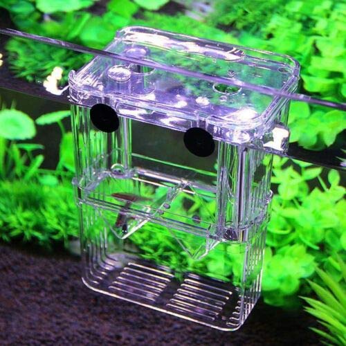 Aquarium Fish Tank Breeding Breeder Rearing Box Hatchery Clear Isolation Case (BX-003) - size: BX-003