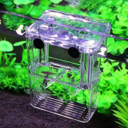 Aquarium Fish Tank Breeding Breeder Rearing Box Hatchery Clear Isolation Case (BX-003) - size: BX-003