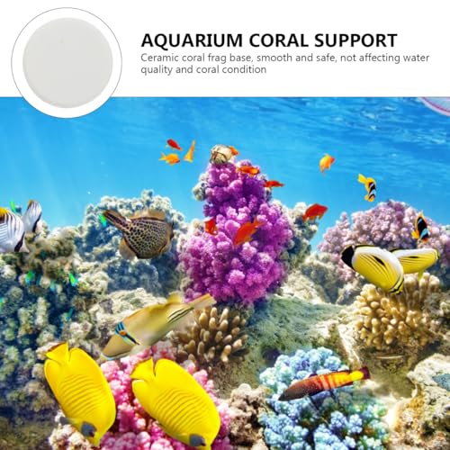 10pcs Fish Tank Coral Base Coral Mount Gel Gasket Stand Cave Heater Cobble Pad Goldfish White Serving Tray Fish Tank Siphon Plant Tanks Plug Aquarium Breeding Bases Ceramics