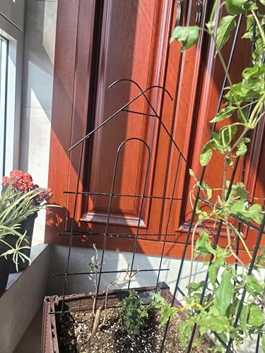 24" Metal Garden Trellis for Climbing Plants, 4 Pack Plant Trellis for Potted Plants, Indoor Outdoor Black Trellis for Vines, Flowers, House Plants, 10" Wide - size: 24 inch